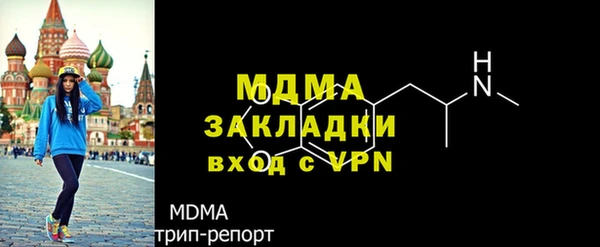 индика Бородино